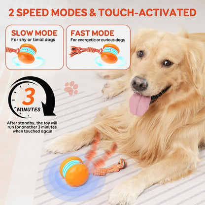 80%🎁Beddys® Motion-Activated Interactive Dog Toy — Keeps Dogs Busy & Happy