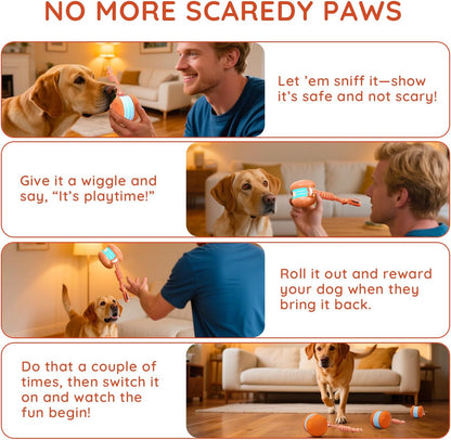 80%🎁Beddys® Motion-Activated Interactive Dog Toy — Keeps Dogs Busy & Happy