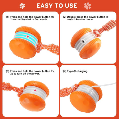 80%🎁Beddys® Motion-Activated Interactive Dog Toy — Keeps Dogs Busy & Happy